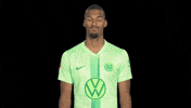 Happy Germany GIF by VfL Wolfsburg