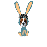 nico_cavalier_tokyo rabbit 犬 うさぎ いぬ Sticker