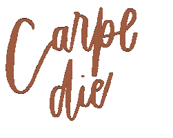 Seize The Day Carpe Diem Sticker