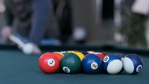 Georgia Southern College GIF by Georgia Southern University - Auxiliary Services