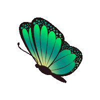 Butterfly Decor Sticker