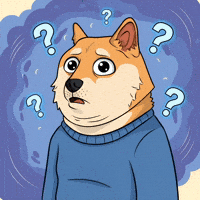 Shiba Inu What GIF by Doge Pound