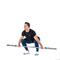 Fitness Crossfit Sticker by WeLift