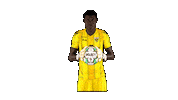 Liga Nos Sticker by CD Tondela