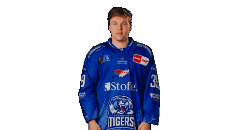 Seidl Sticker by Straubing Tigers