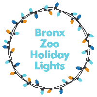 Sparkling City Lights Sticker by Bronx Zoo