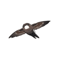 Bird 鳥 Sticker