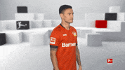 Posing Bayer 04 GIF by Bundesliga