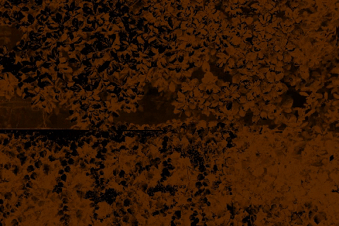 galantijc giphygifmaker eclair GIF