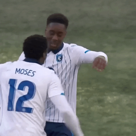 Save Fc Edmonton GIF by Canadian Premier League