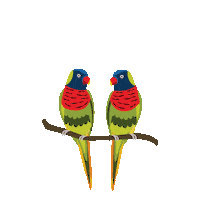 Bird Lory Sticker by Mandai Wildlife Reserve
