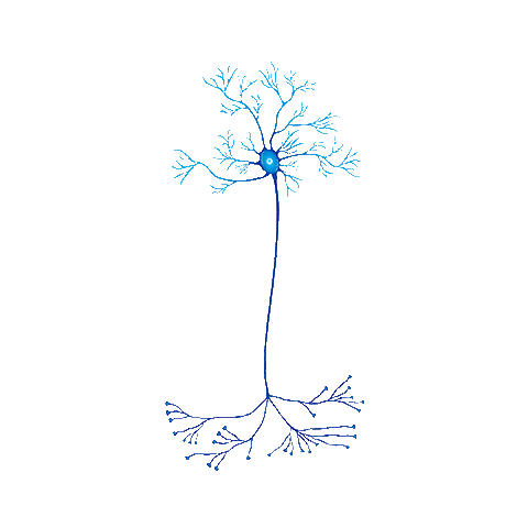 asociacioneducar giphyupload brain casa ae Sticker