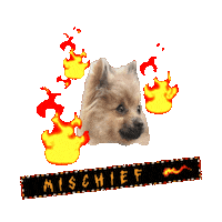 This Is Fine Bad Dog Sticker