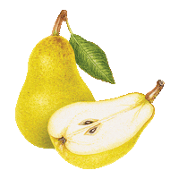 Wyld Cbd Sticker by Wyld