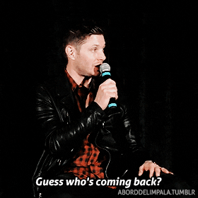 aborddelimpala giphyupload jensen ackles aborddelimpala coming back GIF