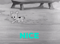 Betty Boop Oops GIF by Fleischer Studios
