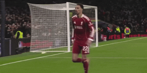 Liverpool Fans GIF
