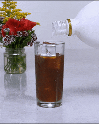 Drink Drinking GIF by RumChata