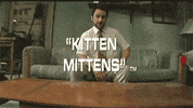 Its Always Sunny In Philadelphia Cat GIF