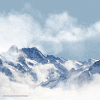 Hufi beer snow cold wind GIF