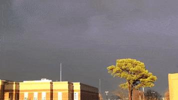 rain storming GIF