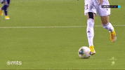 Superligasrbije GIF by sportmts