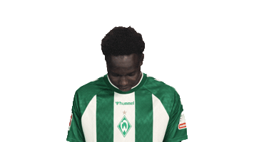 Look Up Werder Bremen Sticker by Bundesliga