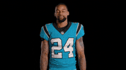 National Football League Reaction GIF by Carolina Panthers