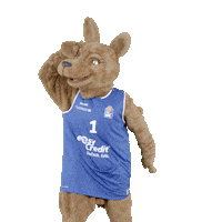 social-media-easycredit yes basketball easycredit ellihoop Sticker