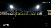 Partizan GIF by sportmts