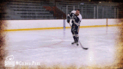 happy ice hockey GIF by Robert Morris University Athletics