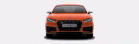 Rinaldi_Valmotor audi tts GIF