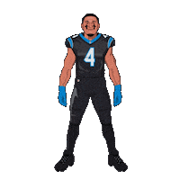 Keep Pounding Carolina Panthers Sticker by SportsManias