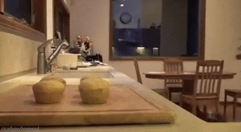 sneaky GIF
