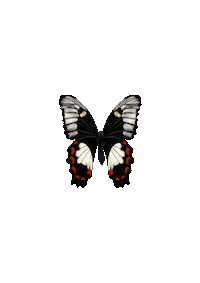 Flying Stealing Beauty Sticker