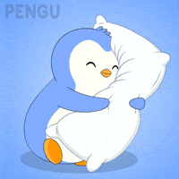 Sleep Penguins GIF by Pudgy Memez