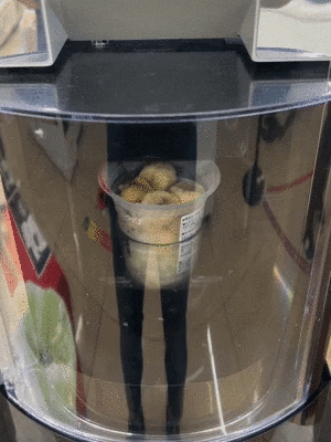 yj_jane giphygifmaker GIF