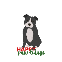 Christmas Puppies Sticker by Pin it Co.