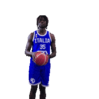 Italia Sticker by Italbasket
