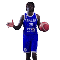 Italia Sticker by Italbasket