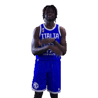 Italia Sticker by Italbasket