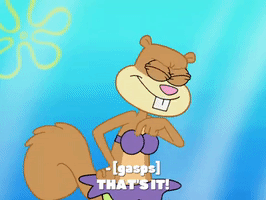 season 8 bubble troubles GIF by SpongeBob SquarePants