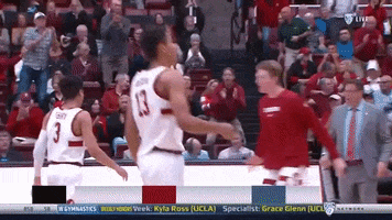 gostanford  GIF