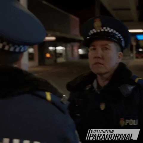 Officer Good Idea GIF by Wellington Paranormal