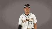 Cal State La Baseball GIF by Cal State LA Golden Eagles