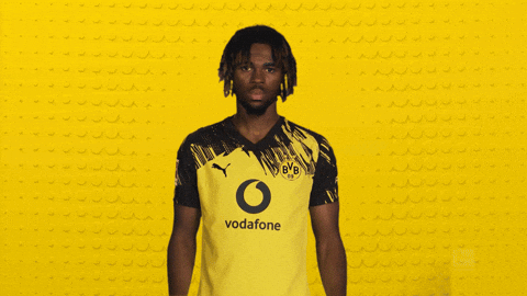 Borussia Dortmund Chukwuemeka GIF by Bundesliga