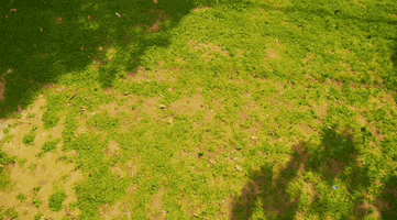 Sad Stop Motion GIF by Pure Noise Records