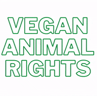 Plant-Based Vegan GIF by Caavakushi