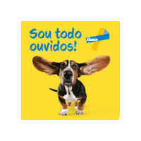 Drc Sticker by Elanco Brasil