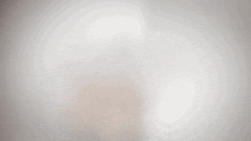 red friday fuck donald trump GIF by YG